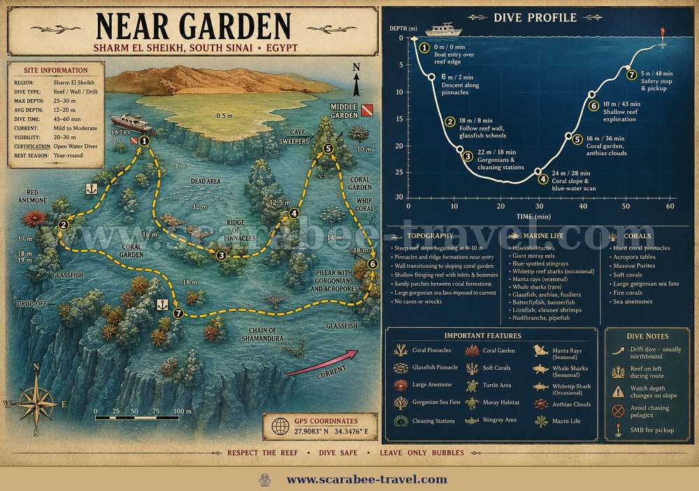 Near Garden